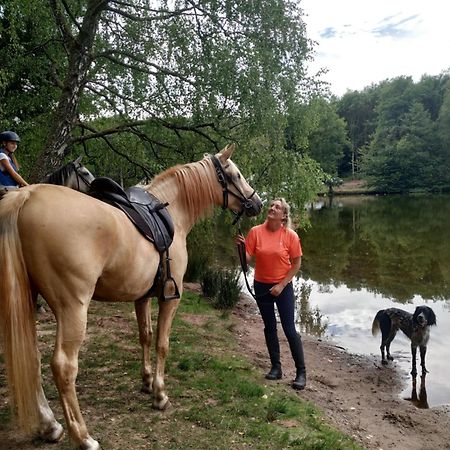 L'Echappee Verte - Gite Equestre 5 Pers Soucht Екстериор снимка