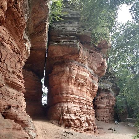 L'Echappee Verte - Gite Equestre 5 Pers Soucht Екстериор снимка