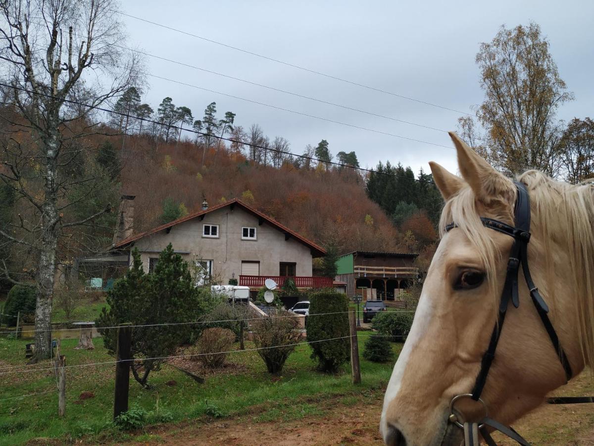 L'Echappee Verte - Gite Equestre 5 Pers Soucht Екстериор снимка