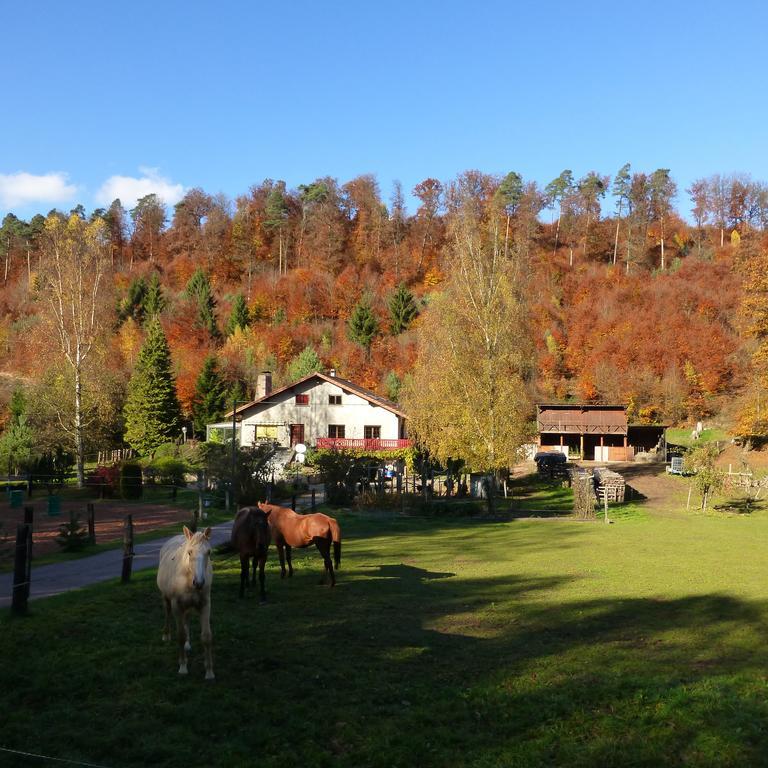 L'Echappee Verte - Gite Equestre 5 Pers Soucht Стая снимка