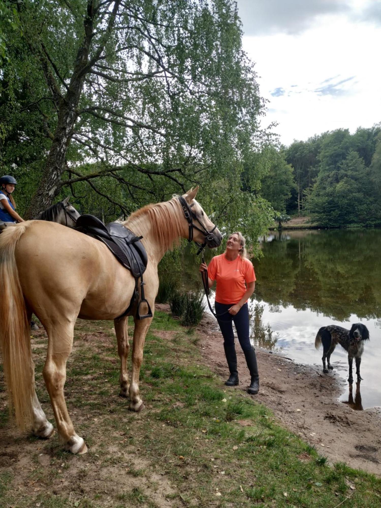 L'Echappee Verte - Gite Equestre 5 Pers Soucht Екстериор снимка