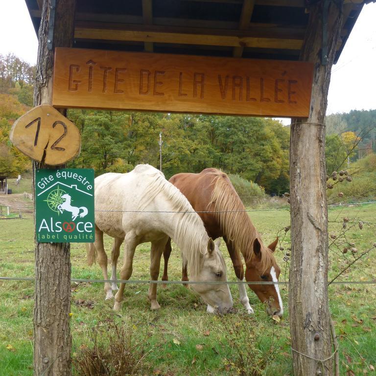 L'Echappee Verte - Gite Equestre 5 Pers Soucht Екстериор снимка