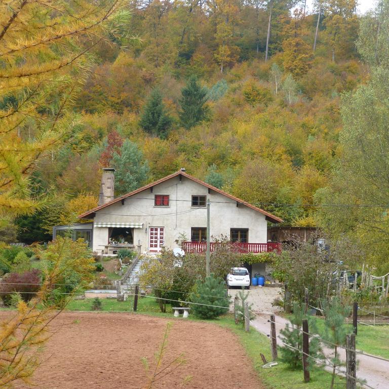 L'Echappee Verte - Gite Equestre 5 Pers Soucht Екстериор снимка